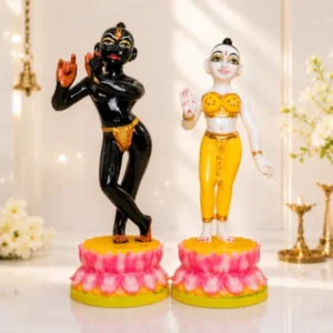 beauty of jugal jodi
